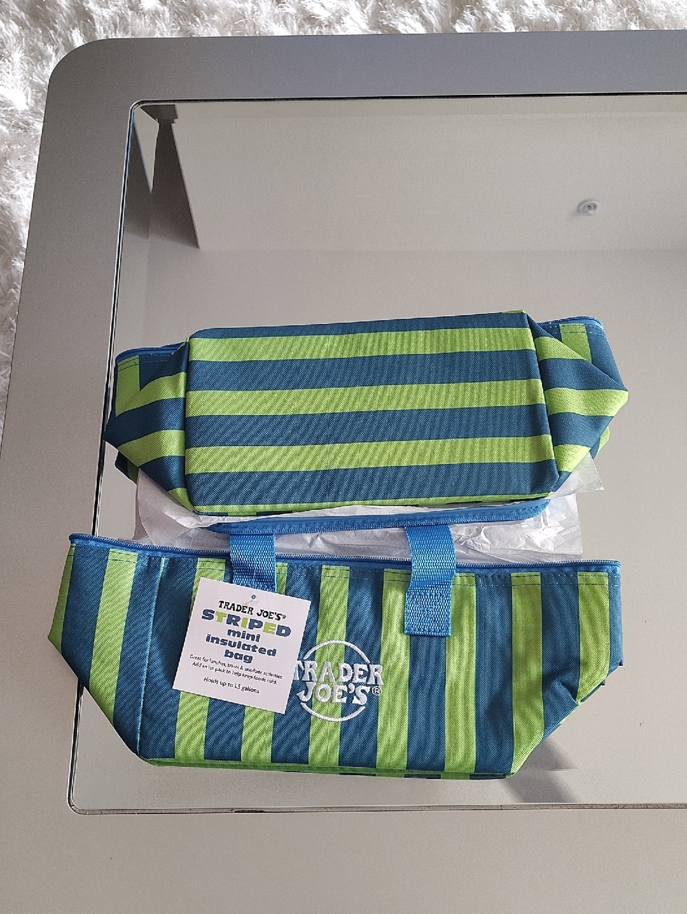 Trader Joe's Blue and Green Striped Insulated Tote BRANDNEW